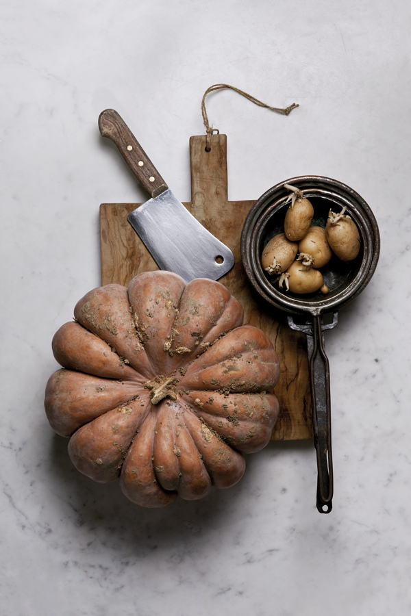 Mother - Camilla Catrambone