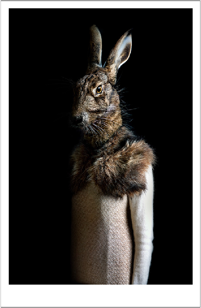 Miguel Vallinas - Segundas Pieles 6