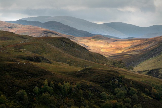 Scotland Crimson669 2