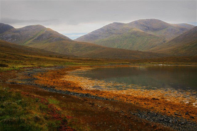 Scotland Crimson669 5