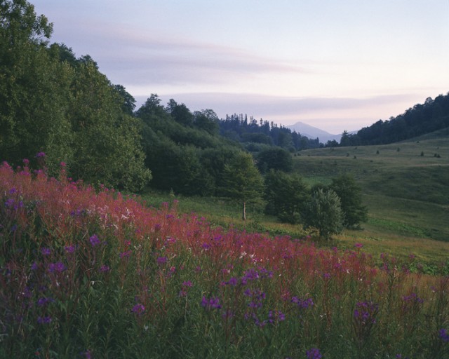 Brett Van Ort - Minescape