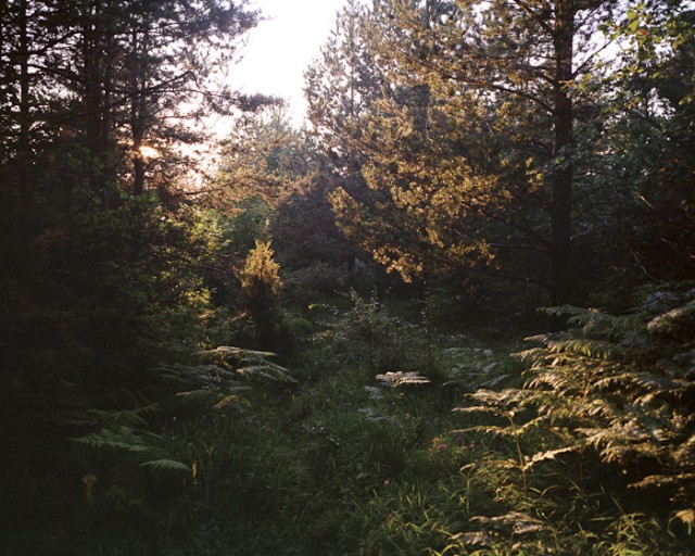 Brett Van Ort - Minescape