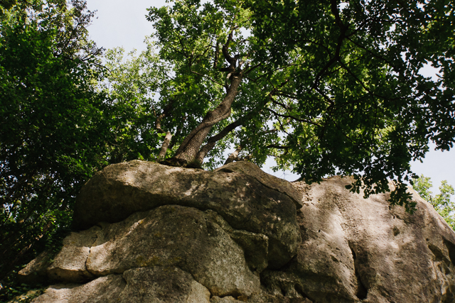 Escalade en Charente - Puymoyen-7