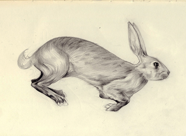 Lievre Chloe Giordano