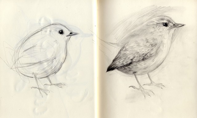 Oiseau 1 Chloe Giordano