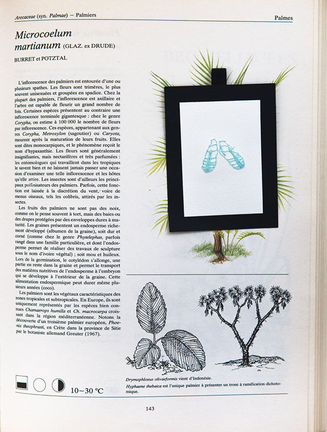 Méduses - 1967 Broderies