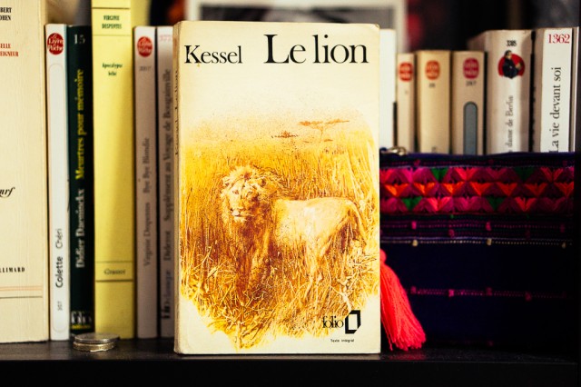Mes livres préférés - Le Lion