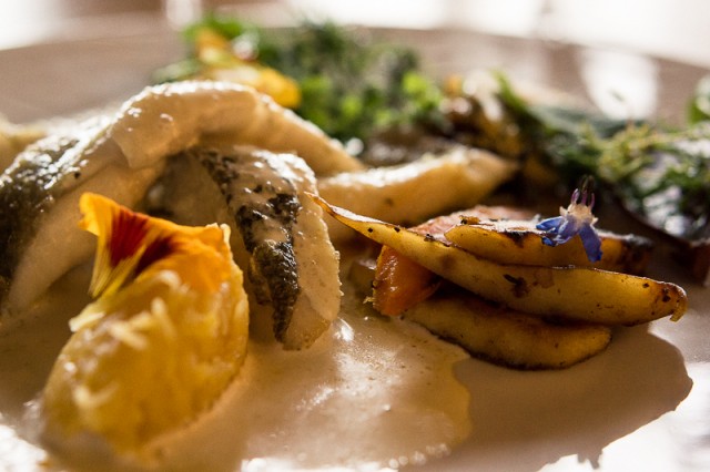 Restaurant Les Jardins Sauvages-3