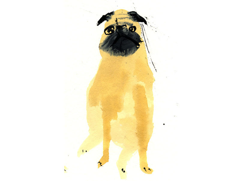 Faye Moorhouse - Pet Portraits 3