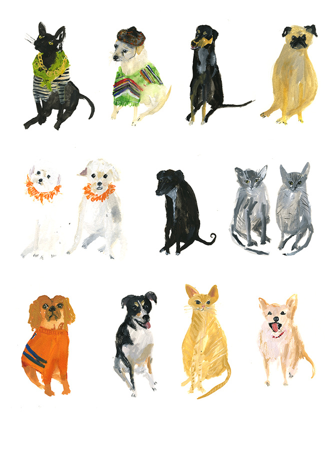 Faye Moorhouse - Pet Portraits