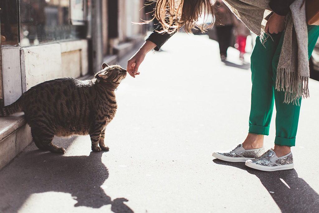 Shooting-Caroll-Look-3-2