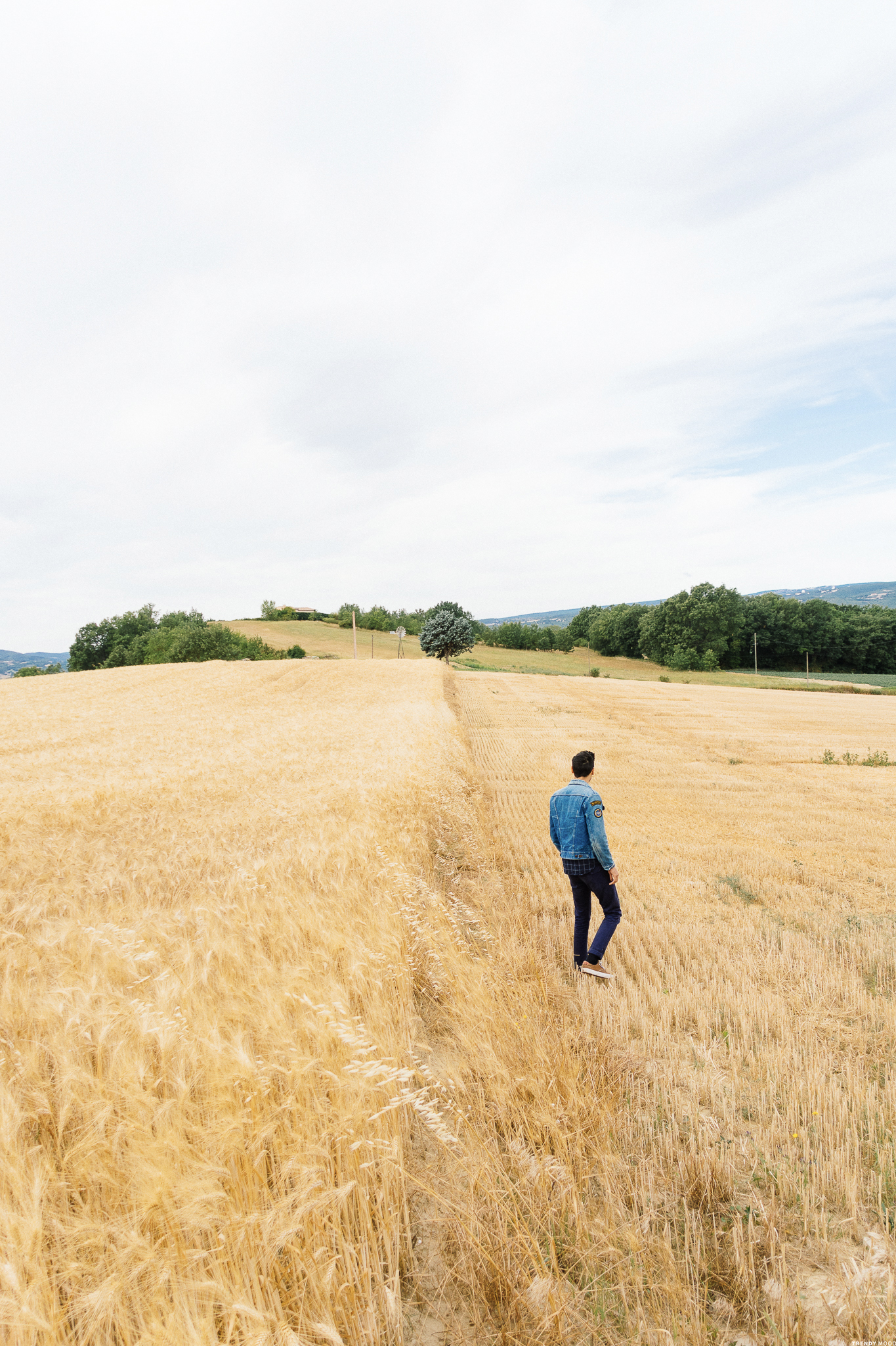 Photographie RX100III - Provence