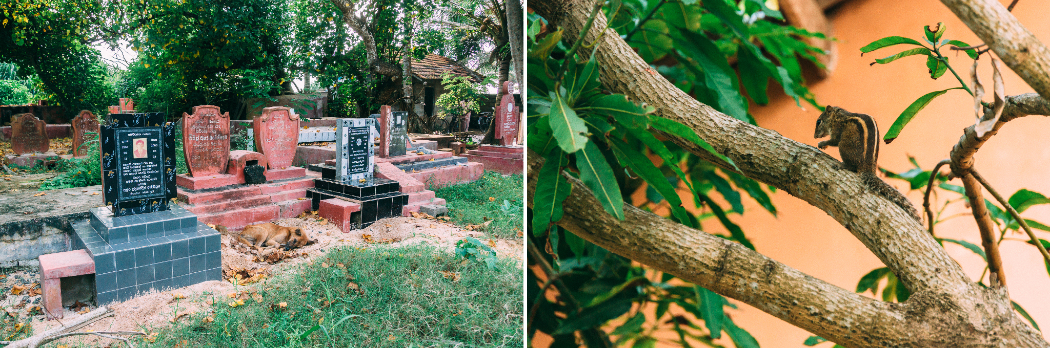 sri-lanka-midigama-2