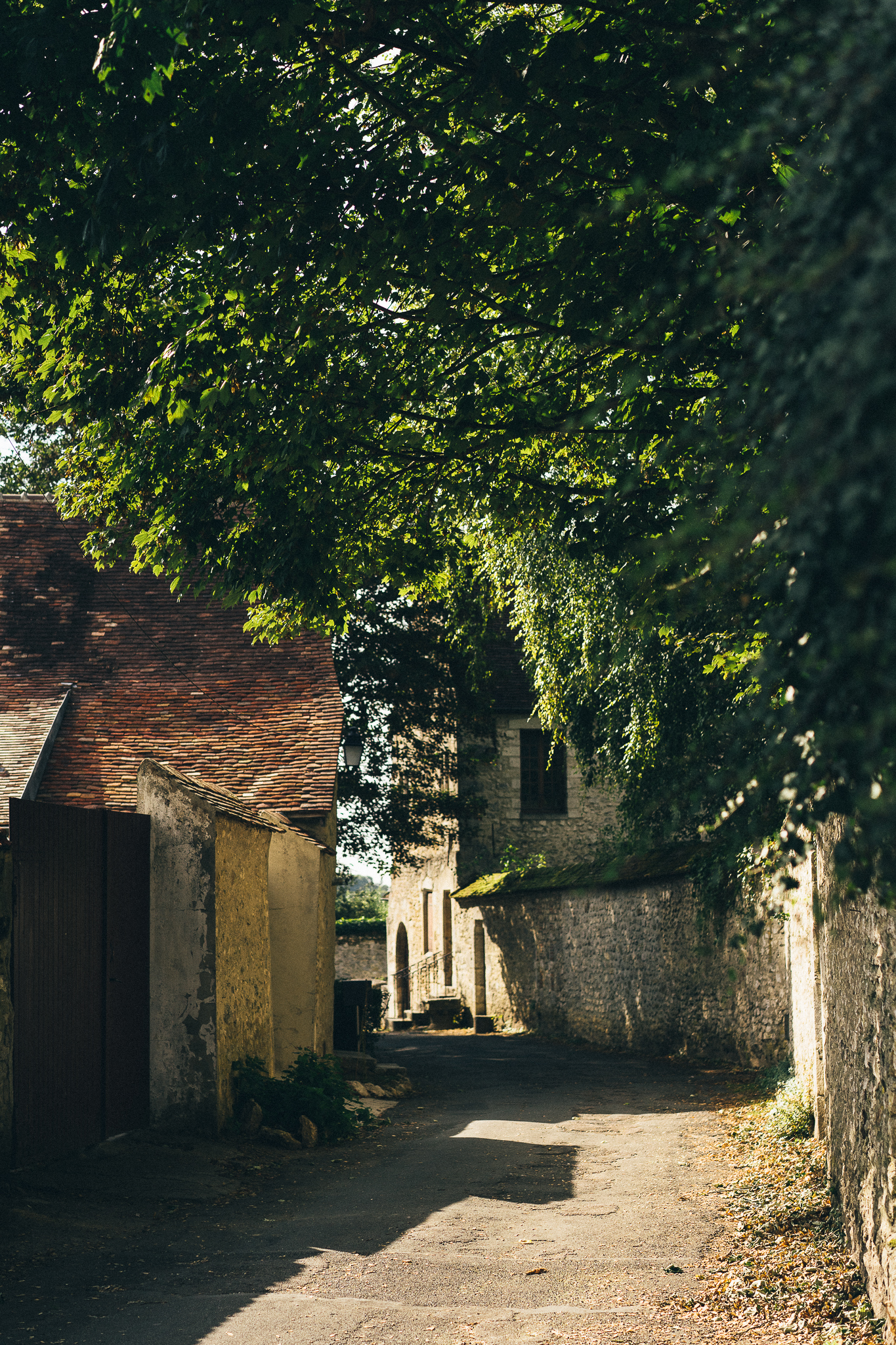Provins-5.jpg