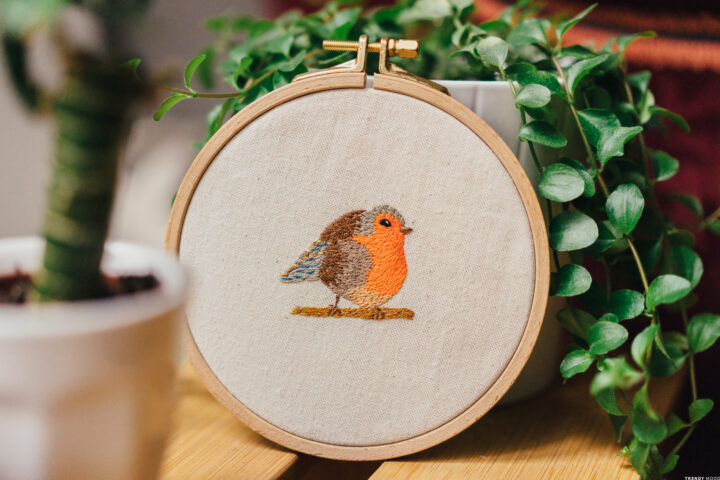 Broderie Rouge Gorge peinture à l'aiguille