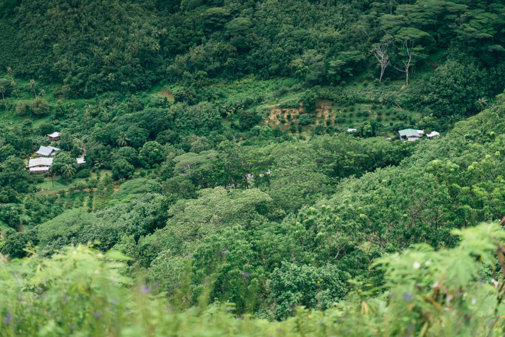 Voyage à Tahiti - Moorea