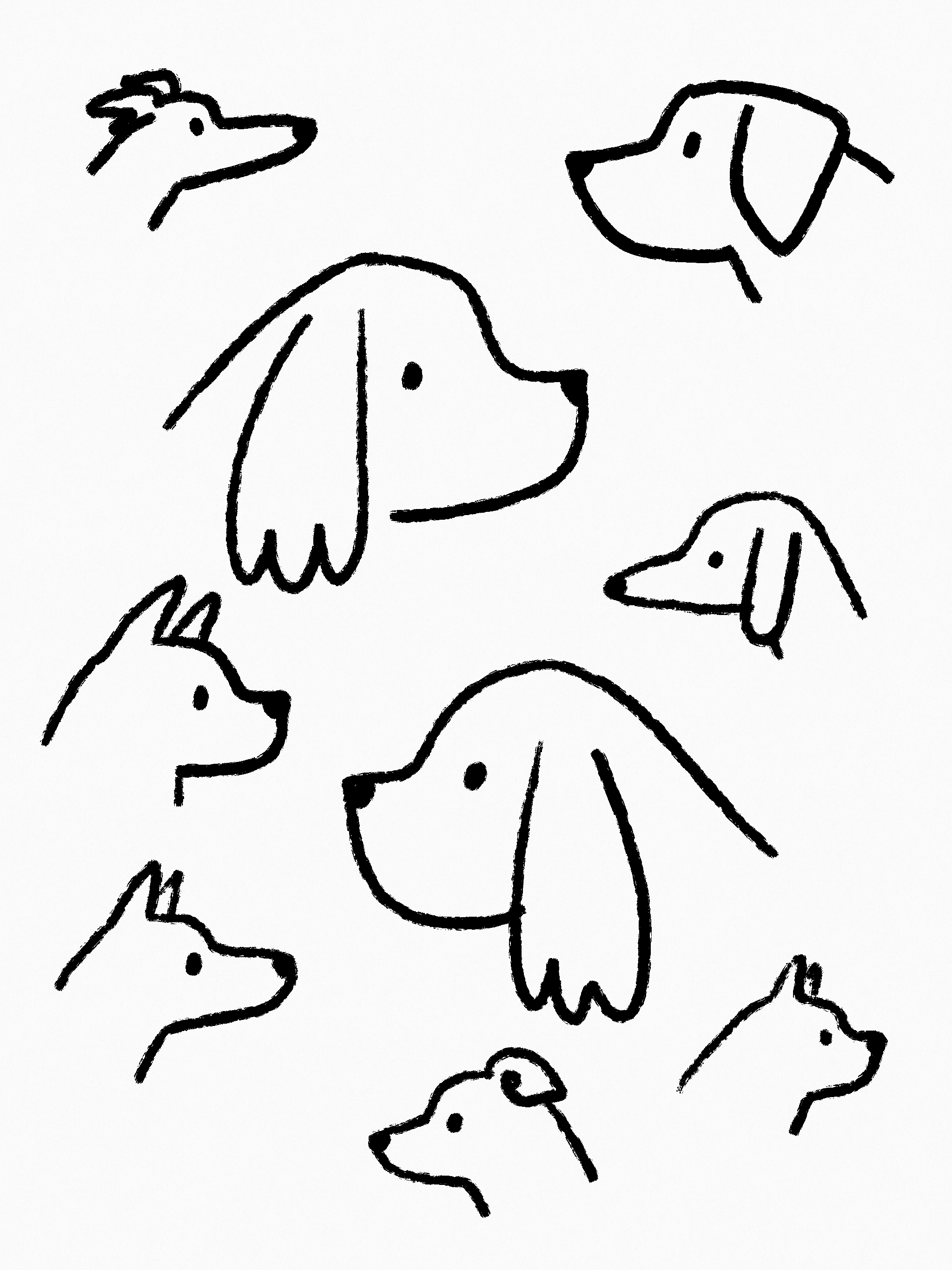 Dogs Drawing