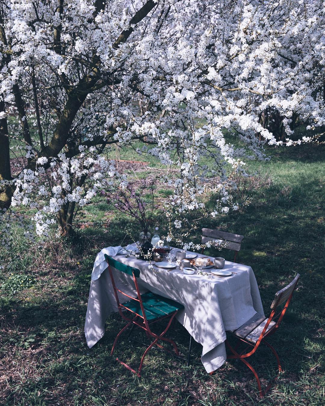 Our Food Stories - Garden