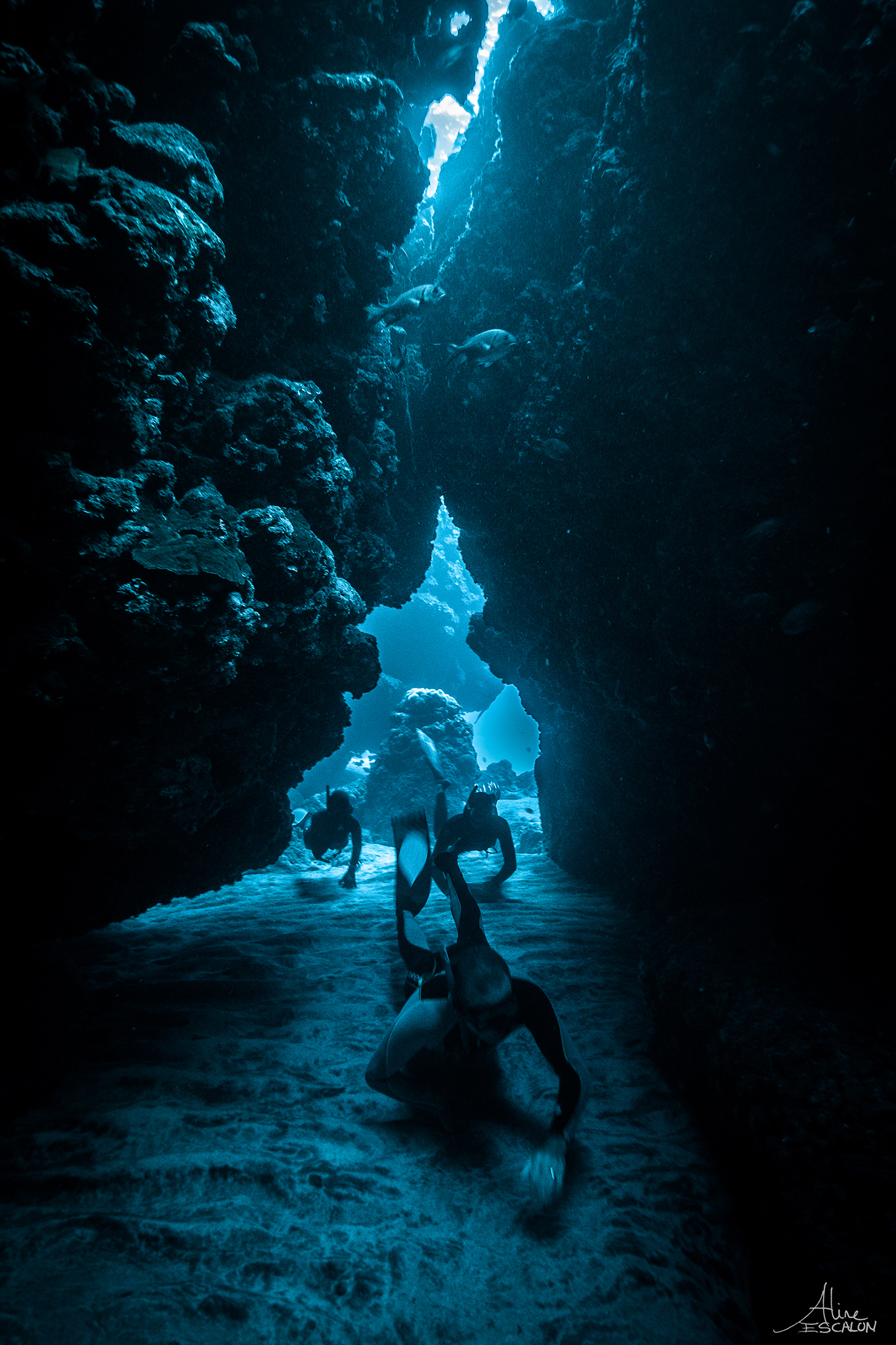 Apnée - Exploration des fonds marins - Aline Escalon.jpg