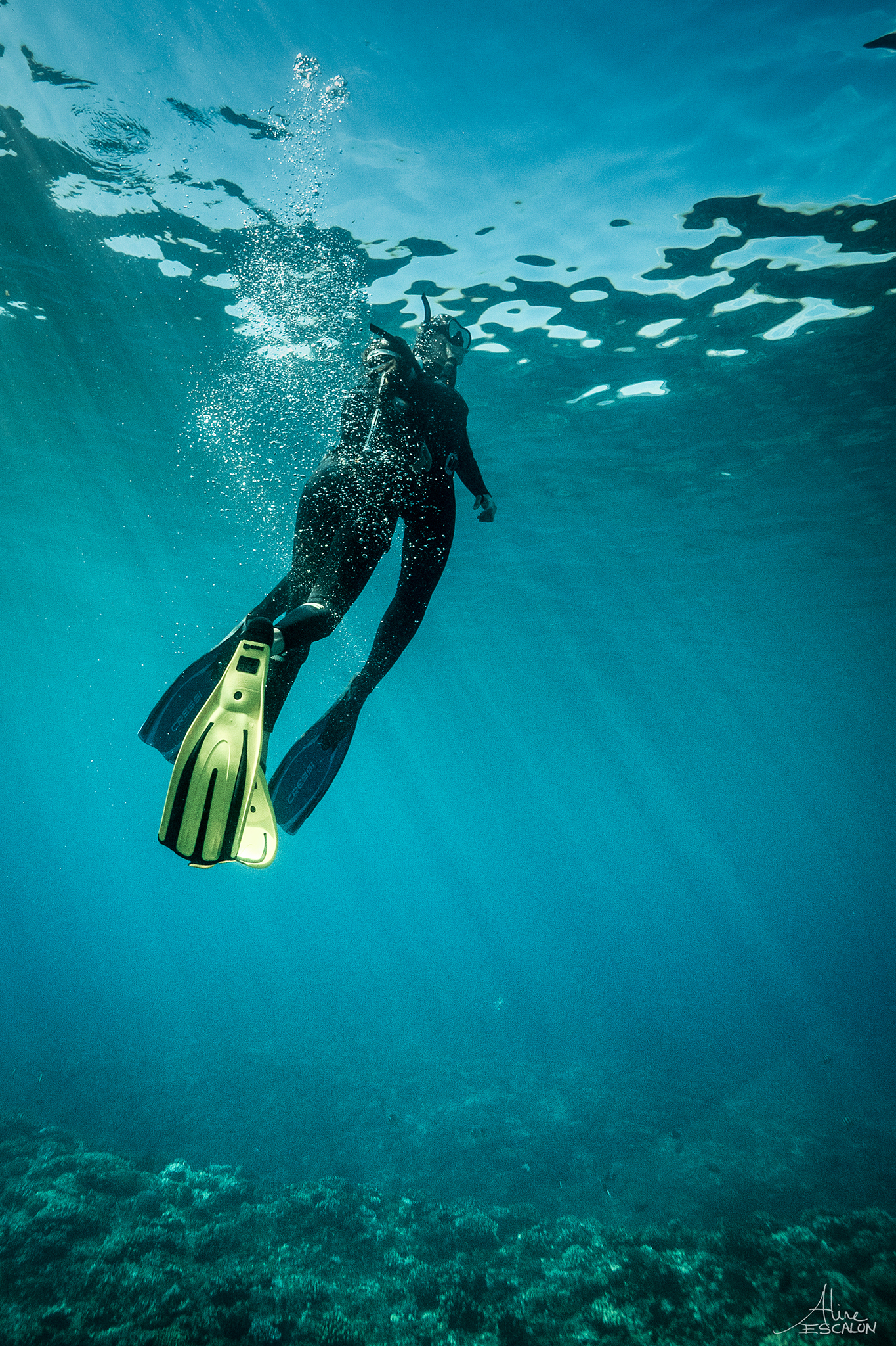 Apnéistes en duo - Ile de la Réunion - Aline Escalon.jpg