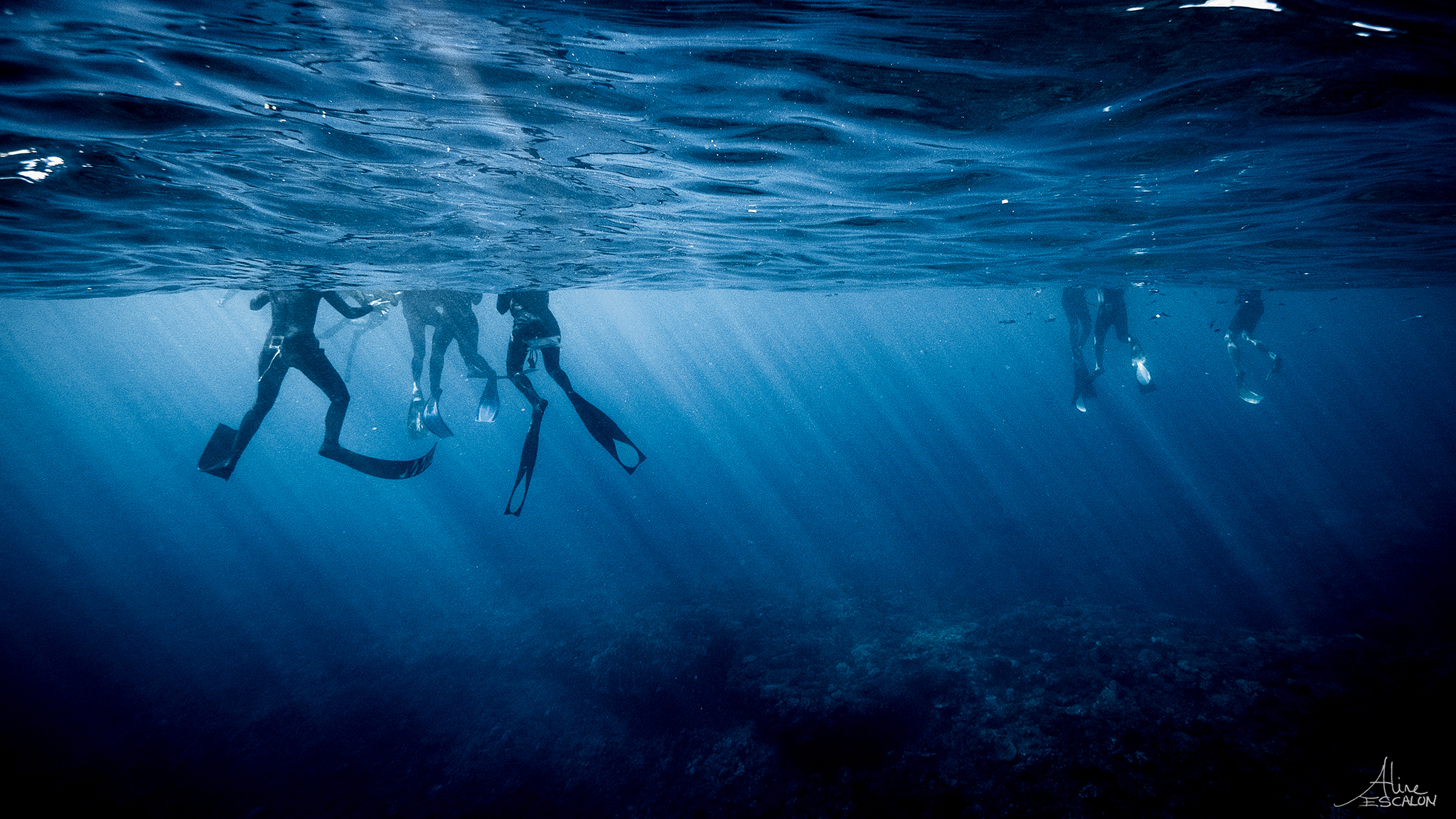 Groupe d'apnéiste - Ile de la Réunion - Aline Escalon.jpg