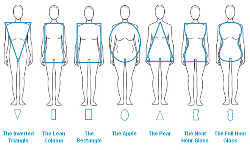 Morphologies différentes - Charte