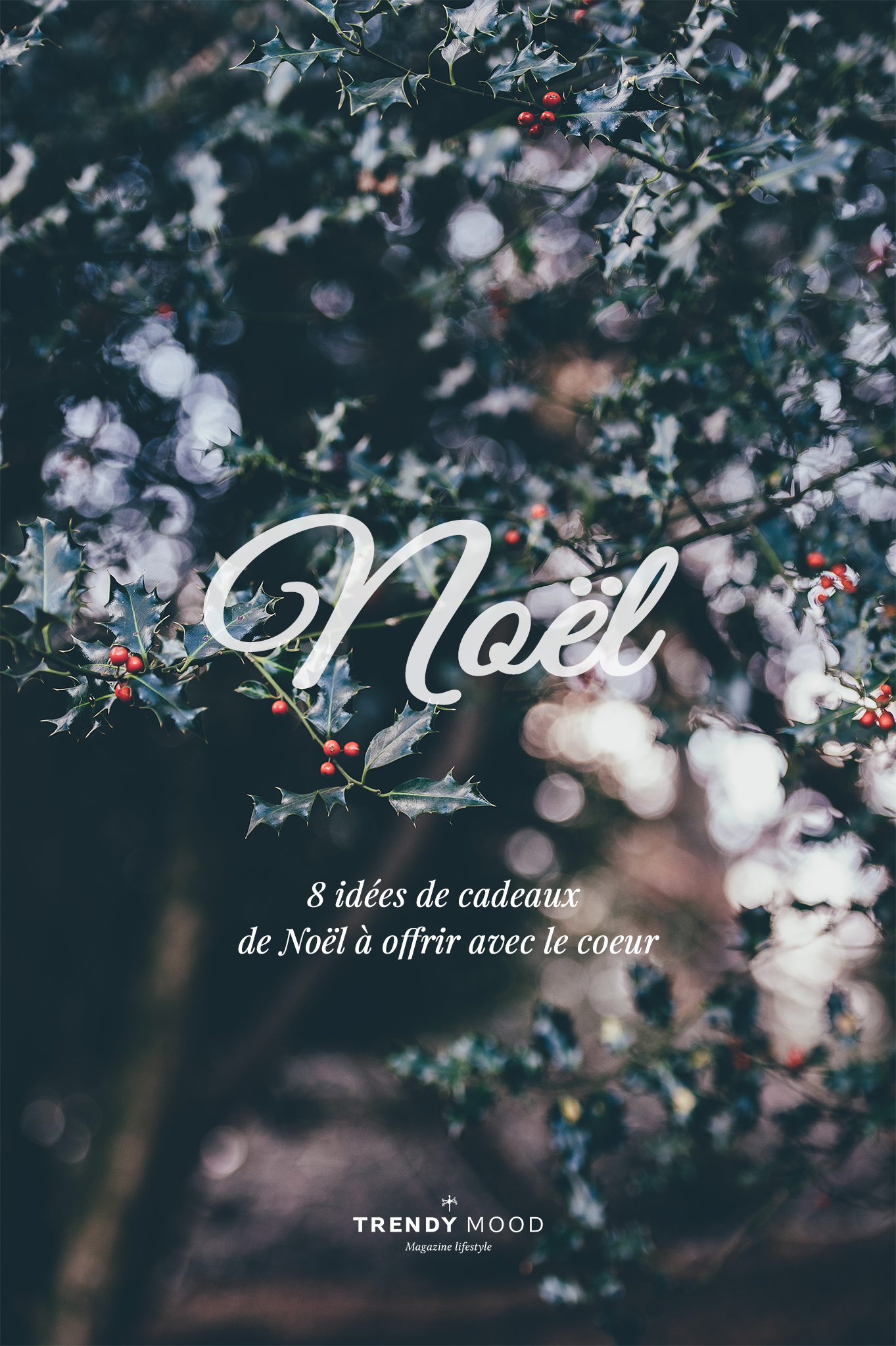 8 idées de cadeaux de Noël différents.png