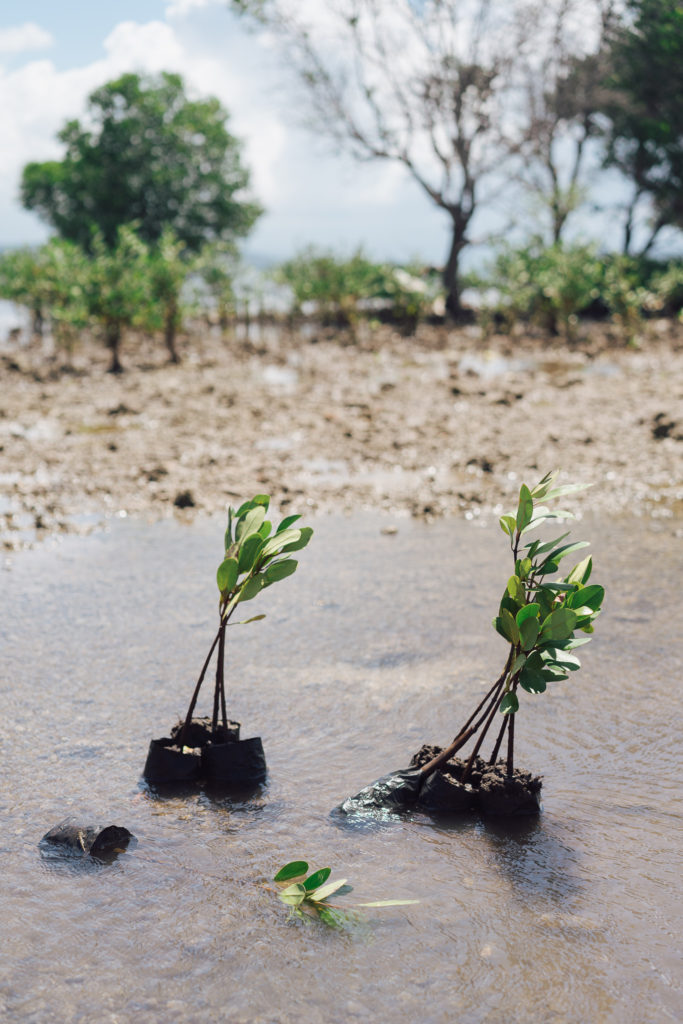 Bali - Voyage avec Avène