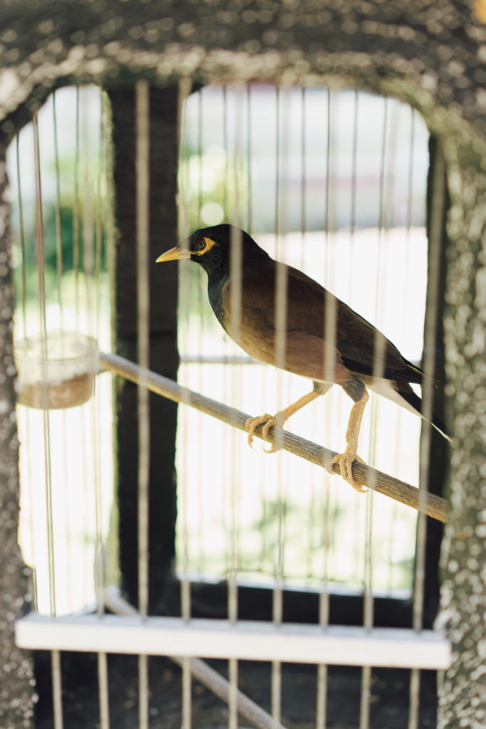 Bali - Voyage avec Avène