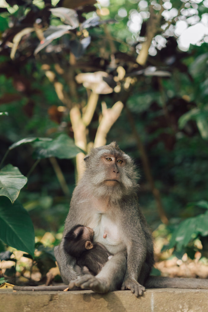 Bali - Voyage avec Avène