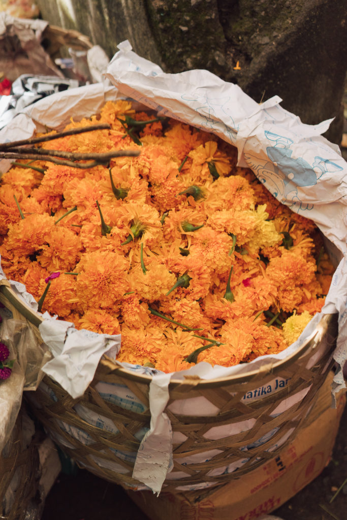 Bali - Voyage avec Avène