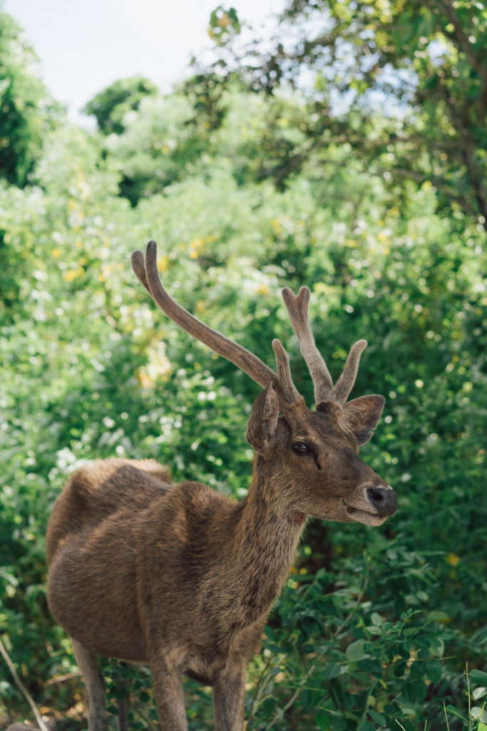 Bali - Voyage avec Avène