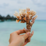 Écologie - Gestes quotidiens